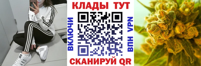 Где купить наркоту Краснознаменск МАРИХУАНА  АМФЕТАМИН  ГАШ  COCAIN 